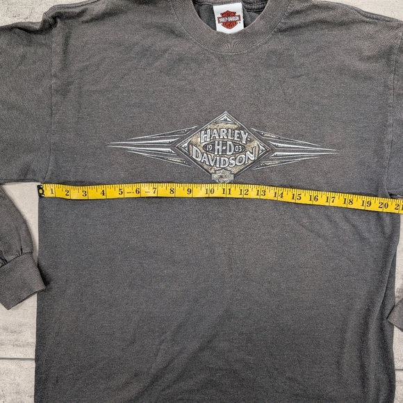 Vtg 2005 Harley Davidson Men's Grey Crystal River Florida Long Sleeve Tee Large - Picture 2 of 9